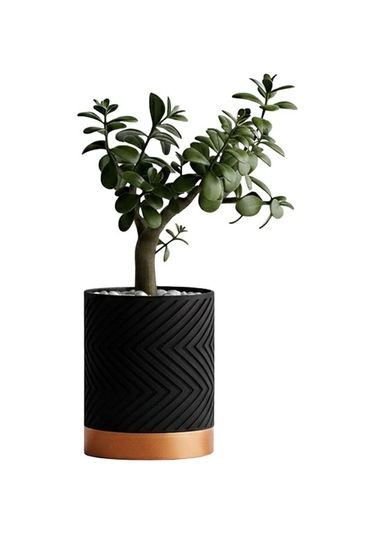 Linea Noir Modern Saksı