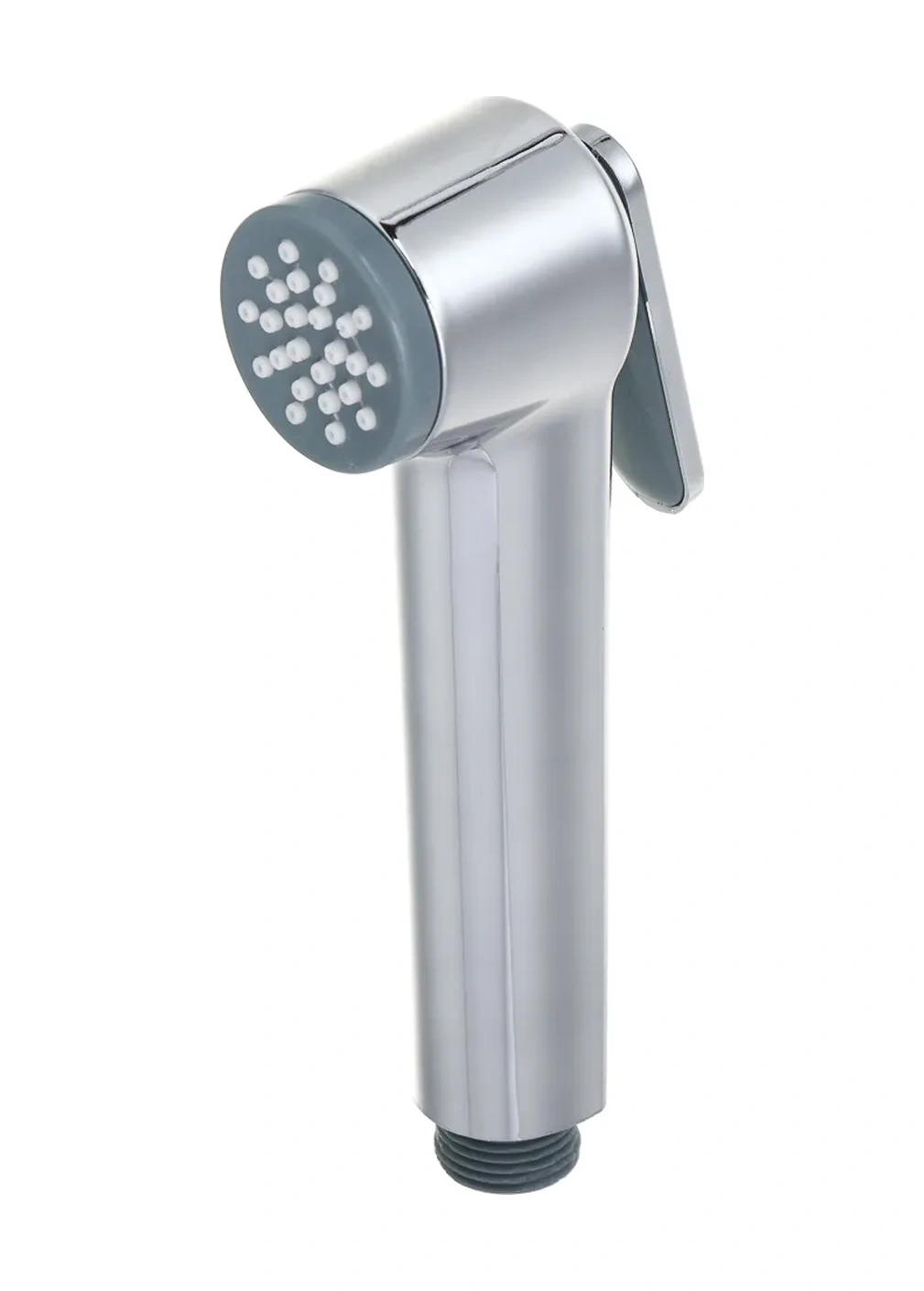 Rain Hijyenik Duş Başlığı 395828900 Çelik