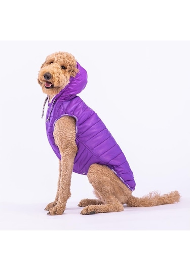 Pawstar Railway Purple Su Geçirmez Orta-büyük Irk Köpek Yelek Yağmurluk