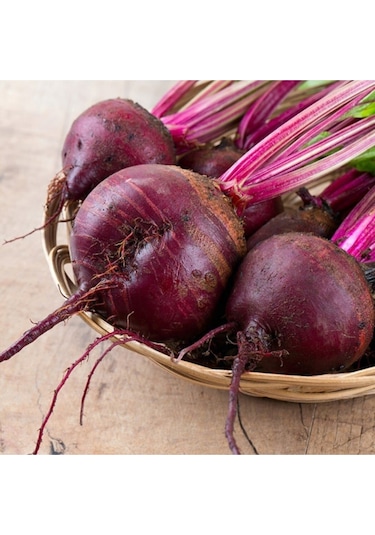 Kırmızı Pancar Tohumu 10GR