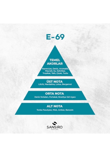 Sansiro E-69 Erkek Parfüm EDP 50 ML