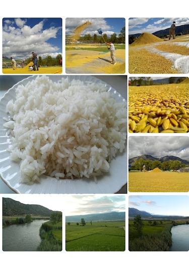 Meşhur Kargı Pirinci 50 KG