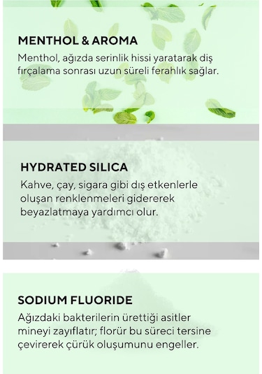 The Ceel Fresh Mint Ferahlatıcı Diş Macunu 75 gr – Nane Aromalı, Günlük Koruma