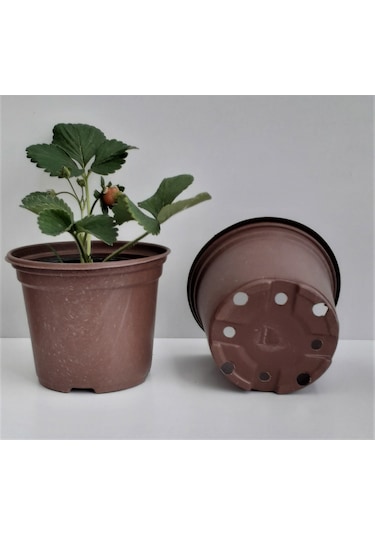 Üretim Saksısı 12X10 Cm 100 Adet Vakum Saksı Fide Saksısı