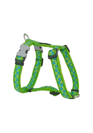 Reddingo Lime Üzerine Turkuaz Yıldızlı Köpek Göğüs Tasması 15 Mm