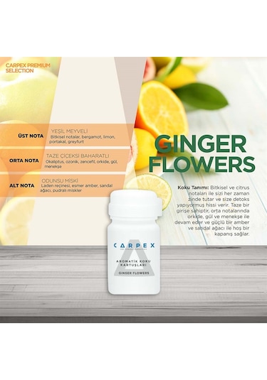 Carpex Koku Makinesi Kartuşu Ginger Flowers 125 ML