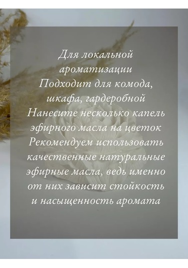 Wick24 İç Mekan İçin Uçucu Yağlar İçin Şap Taş Aroması Piyon Aromadüfüsör 185463464