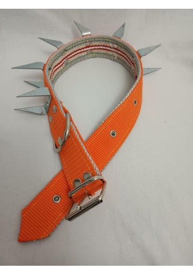 Kozaklı U Çivili Köpek Tasması Turuncu 70 x 4 CM