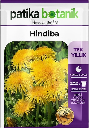 500 Adet Hindiba Tohumu