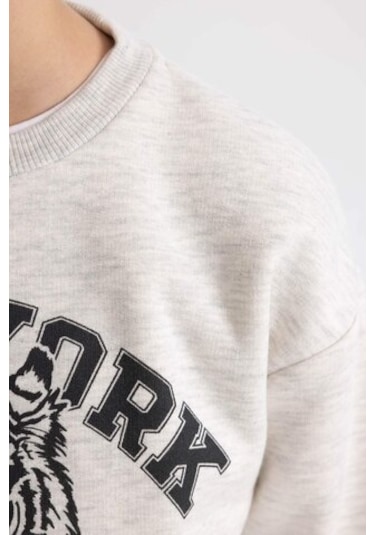 DeFacto Erkek Çocuk Bisiklet Yaka Baskılı Sweatshirt B7822A8NSGR400 Gri