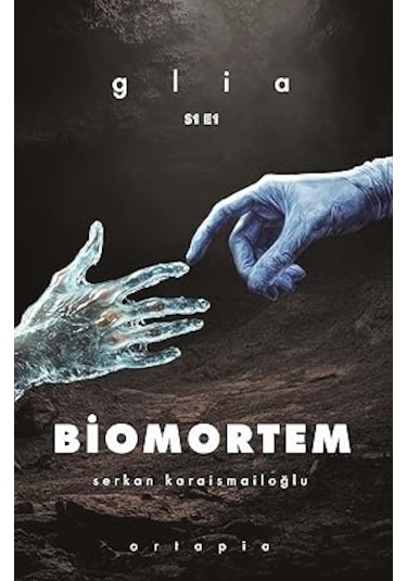 Hobbit + Keşke: Bir Köy Enstitüsü Romanı + Biomortem + 5 Kitap