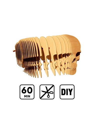 Cartonic 3d Puzzle - Skull