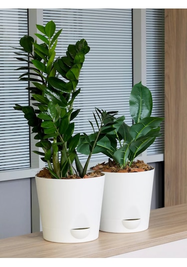 Interm Büyük Çiçek Saksısı, 2 Adet, 5.6 Litre 182712027