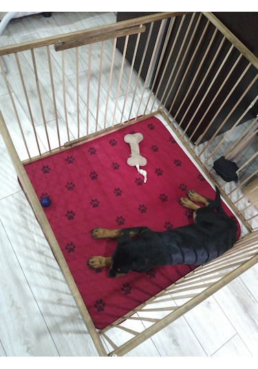 AHŞAP KÖPEK ÇİTİ YÜKSEKLİK 70 CM