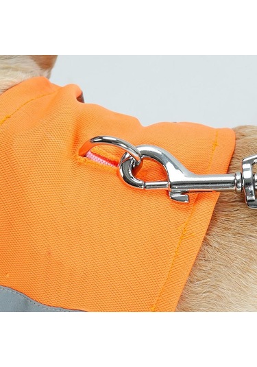 Homyl Pet Köpek Kedi Yansıtıcı Yaka Yavru Emniyet Boyun Askısı Turuncu