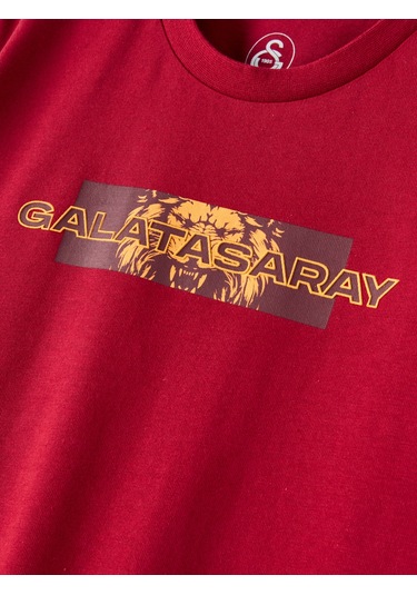 Gsstore Galatasaray Erkek T-shirt E261039 Kırmızı
