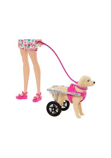 Nessiworld Htk37 Barbie Ve Engelli Köpeği Oyun Seti-39254