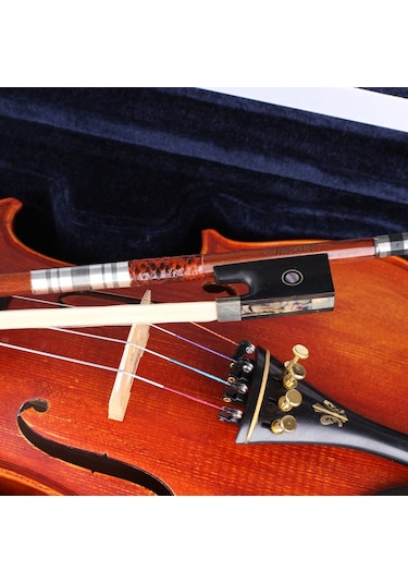 Carlovy Vla6 - 4/4 Keman