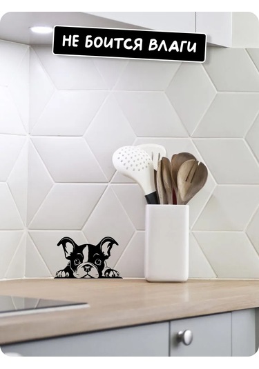 Stadi Dikkat Eden Köpek Etiketi 200702513 Siyah