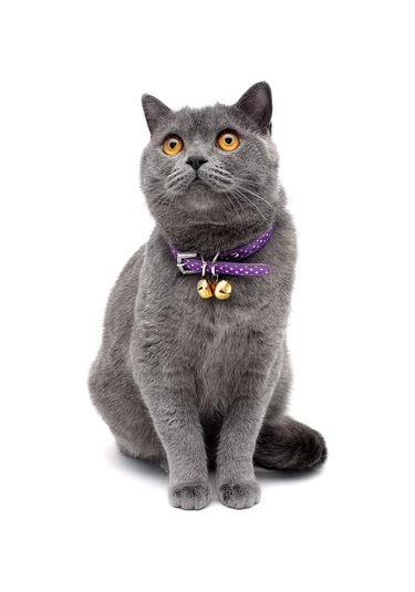 Xianwen Geeroyoo 500 Adet Altın Çan, Noel Dekorasyonu Ve Dıy El