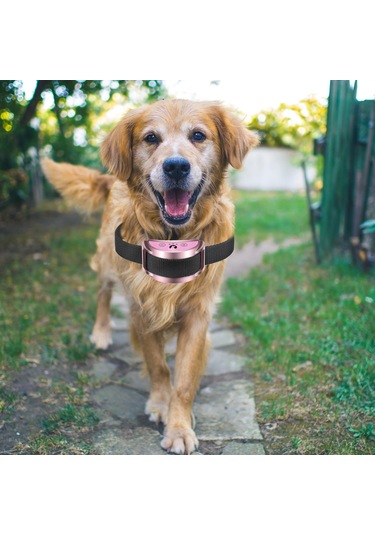 Suntek Köpek Çağrı Tasması Karşıtı Eğitim 7 Pembe