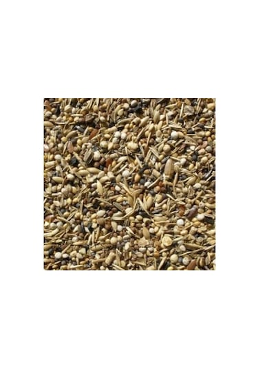 Saglık Tohumu 1 Kg