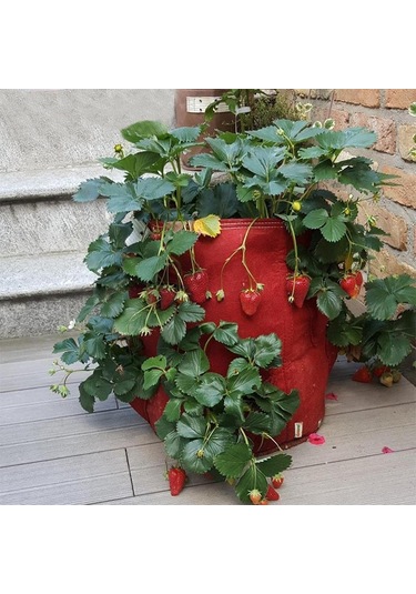 Sones 8 Cepli 43l / 10 Galon Dokumasız Keçe Çilek Dikim Çantası, Boyut: 35x45cm Kahverengi