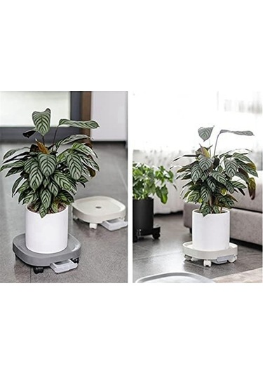 Ulzyvf Ve Tekerlekli Su Standı, Siyah Paleti Olan Kabı Bitki Bitki Arabası, Of