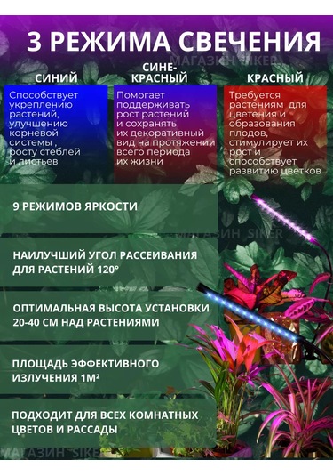 Siker Bitki Ve Fideler İçin Led Fitolamba 257858844 Violet