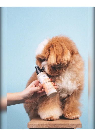 Lıssılandıa Evcil Hayvanlar İçin Parfüm. Bal Şeftalisi 419919633