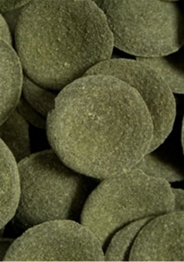 Ocean Nutrition Algae Wafers 75 G