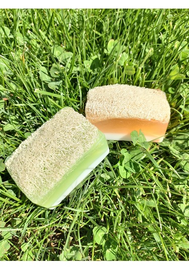 Doğal Kabak Lifli Ballı Eşek Sütlü  + Aloe Vera 2'li Sabun