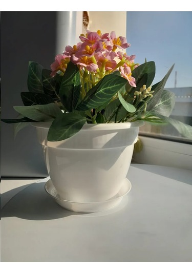 Saburg Çiçek Ve Sukkulent Saksıları, Viola Seti, Tepsili. 295691894