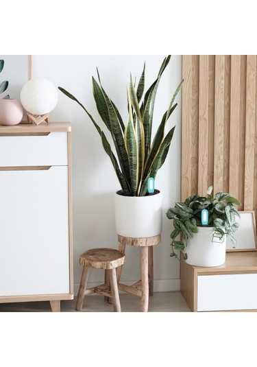 Blelsa Bt Ligent 2'si 1 Arada Toprak Ortam Sıcaklığı Test Ölçer