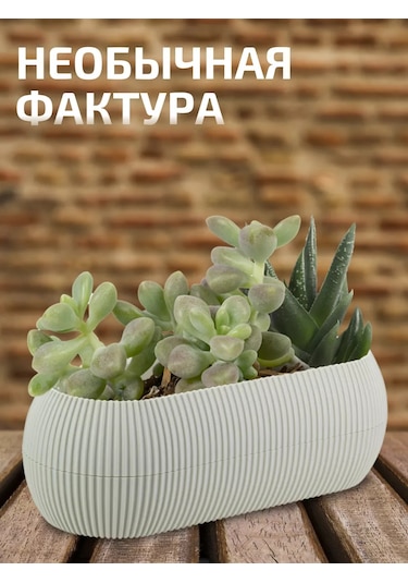 Tiko Home Çiçek Saksısı, Sukulent Saksısı 2'li Set, 1,3 Cm 175359585