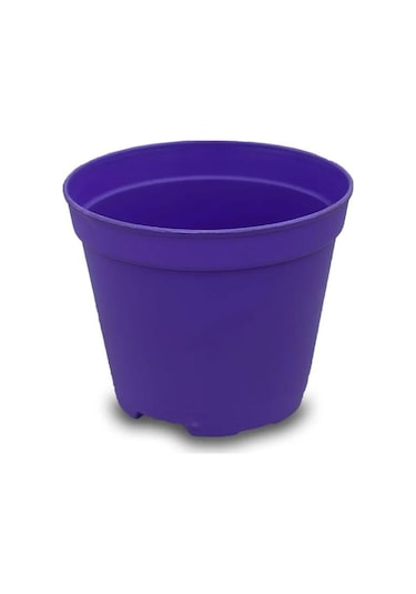 Katı Plastik Sukulent Saksısı 20 Adet Koyu Mor 5.5 Cm