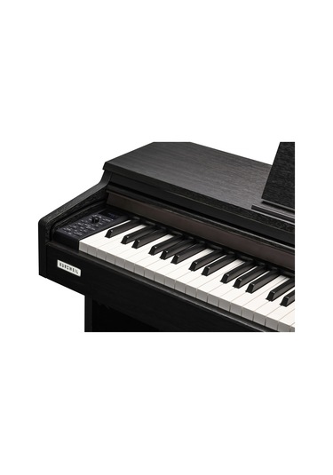 Kurzweil M215sr Dijital Piyano Gülağacı