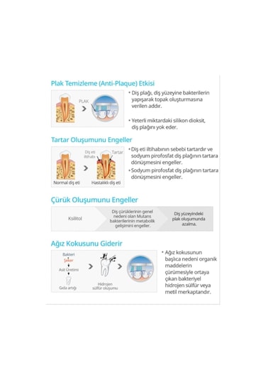 Atomy Propolis & Yeşil Çay Özlü Diş Macunu 200 G