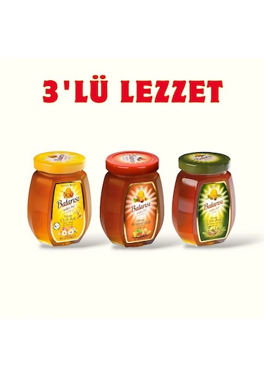 Balarısı Kestane + Çiçek + Çam Balı 3 x 750 G