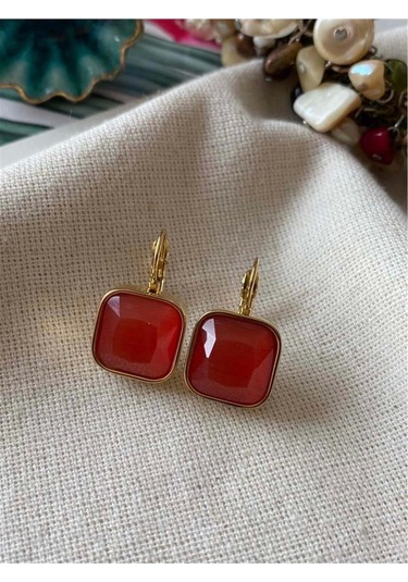 Çelik Kırmızı Etki Küpe Çok Renkli