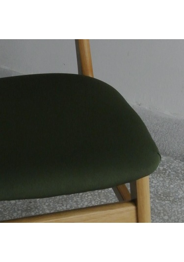 Suntek Ordu Yeşili Kilitli Tokalı Streç Yemek Odası