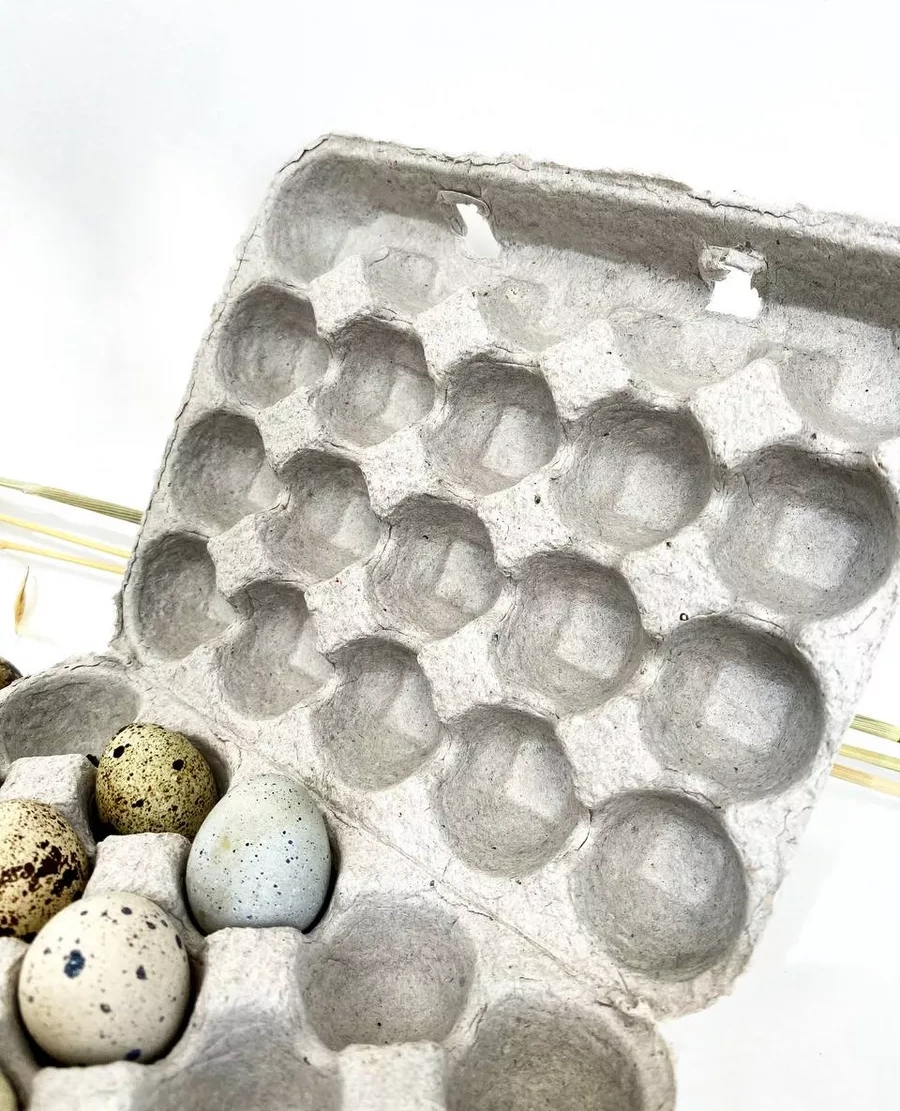 Tpt 20 Gözlü Bıldırcın Yumurtası Paketi 173910803 Bej