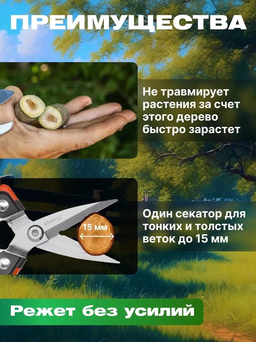 Startul Bahçe İçin Budama Makası 19 Cm St6410-05 214916991