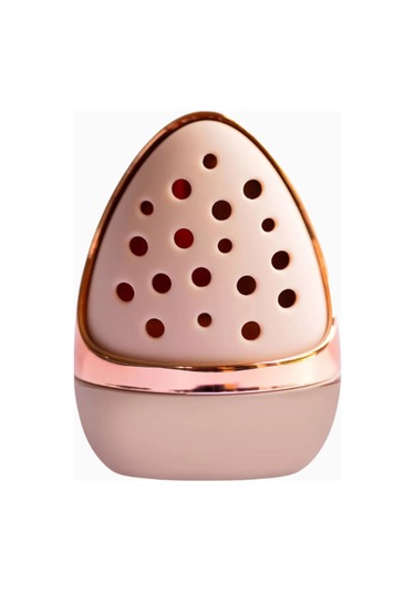 Beautifect Pod With Blender Rose Gold, Makyaj Süngeri Koruma Kutusu