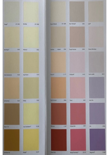 Filli Boya Momento Plus Plastik Boya 15 LT