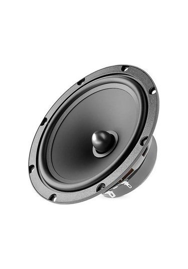 ÖZENHİFİ'den Focal Auditor Evo ASE 165