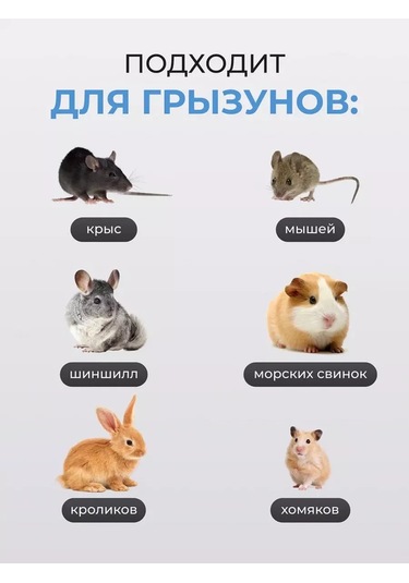 Loorı Kemirgenler İçin Çıkarılabilir Yastıklı Şezlong 200950086