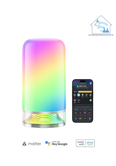 Govee Masa Lambası 2 RGBICWW H60223D1 Matter Alexa Google Asst. Destekli Yarı Şeffaf