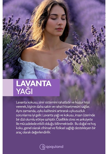 Qoquland Lavanta Uçucu Yağ Buhurdanlık Esansı Oda Kokusu 10 ML