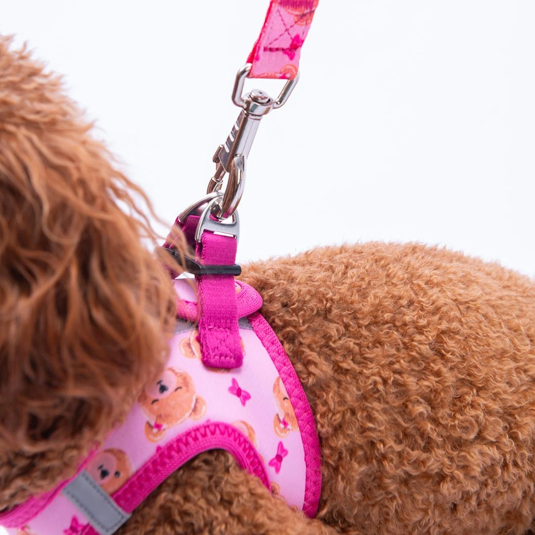 Teddy Club Göğüs Tasması Ve Sevk Kayışı Tasma Seti Ayıcıklı Kedi Köpek Göğüs Tasması Seti Pembe